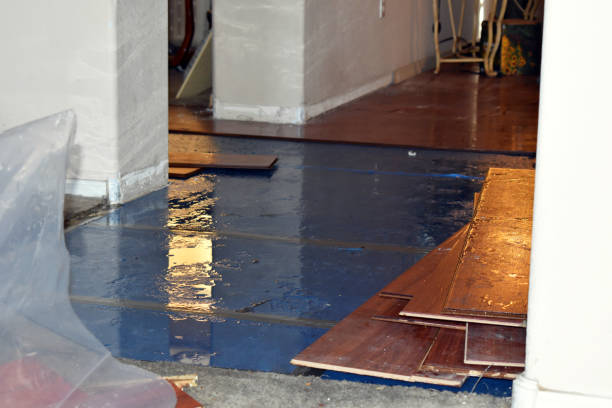 Professional Basement Flood Cleanup technician working in Girardville, PA